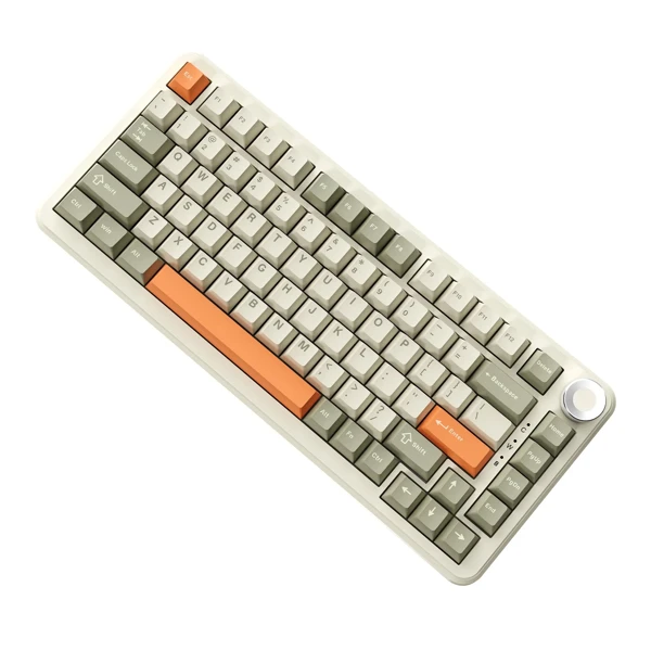 2_20251201_213613_baf6496d.webp Ajazz AK820 MAX Plus Retro style